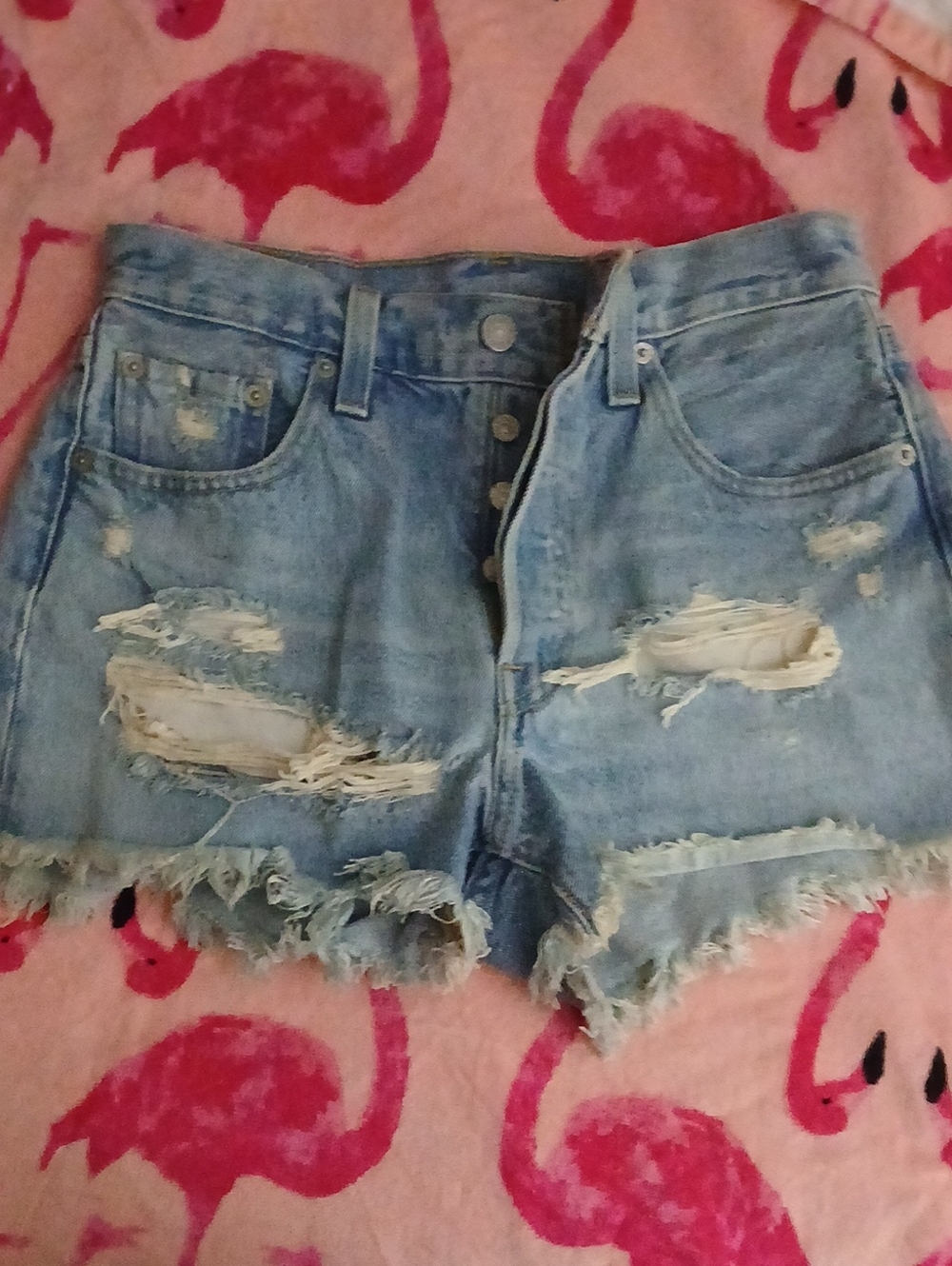 NWOT Levi's Light Blue Distressed Denim Shorts